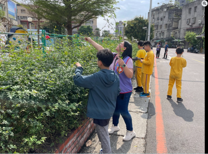 走出校園，尋找秀英花
